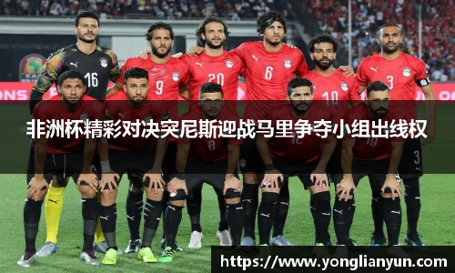 非洲杯精彩对决突尼斯迎战马里争夺小组出线权